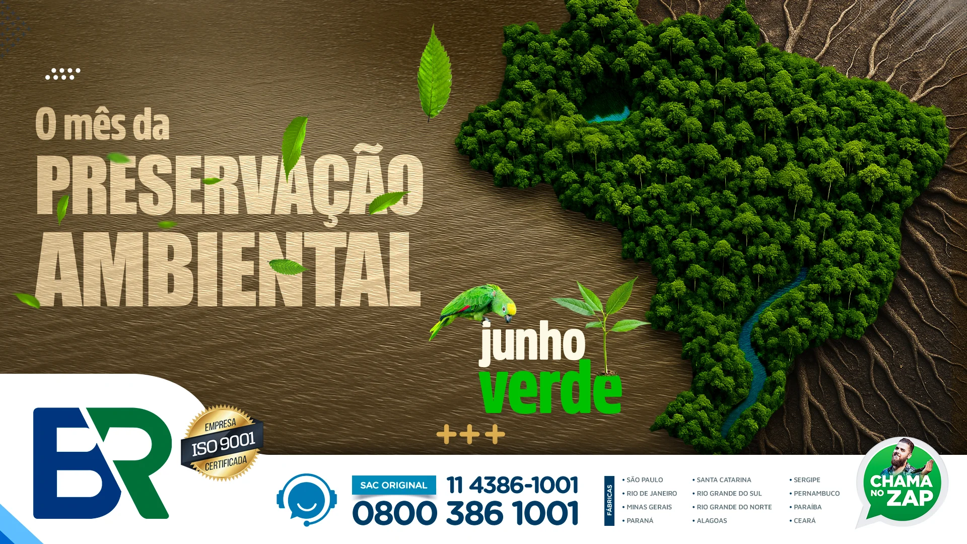 Junho verde: O mês da preservação ambiental